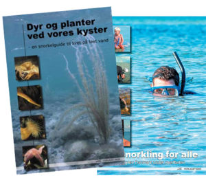 forside af hæfterne Snorkling for alle og Dyr og planter ved vores kyster